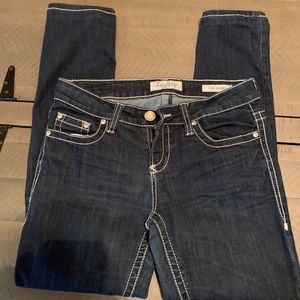 Daytrip Lynx Skinny Jeans